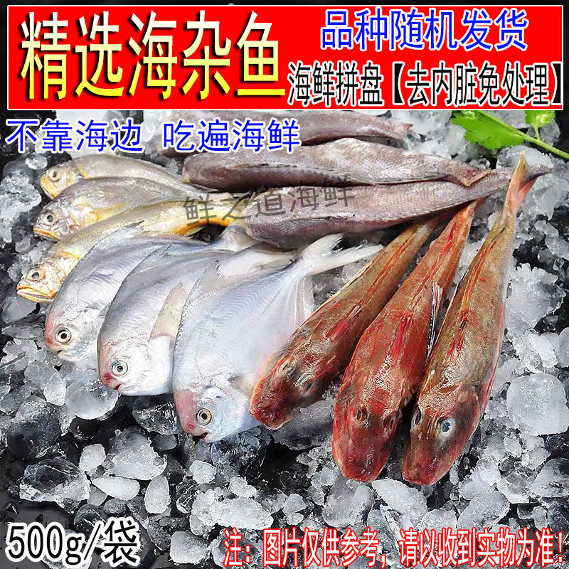 海捕海杂鱼海鲜盛宴拼盘