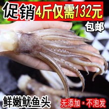 海鲜鱿鱼须新鲜冷冻鱿鱼头鲜活鱿鱼足鱿鱼爪海鲜烧烤食材四斤 包邮