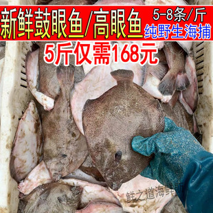 新鲜海捕鼓眼鱼5-8条/斤高眼鱼鲜冻偏口鱼无冰衣鲽鱼5斤装海鱼