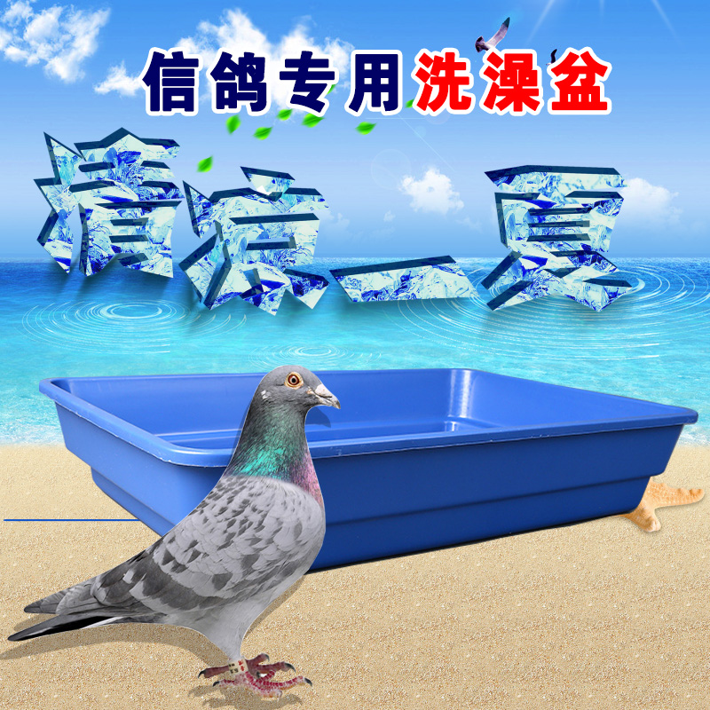 鸽子洗澡盆专用盆大号不锈钢加厚盆赛鸽信鸽用品用具洗浴盆包邮