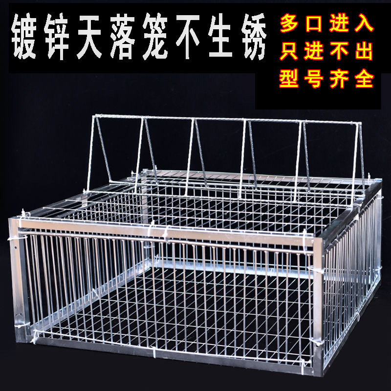 天落笼只进不出户外抓鸽笼
