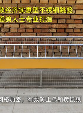 鸽子跳笼不锈钢进出口信鸽进出门