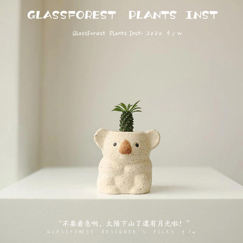 铁甲麒麟韩国考拉盆可爱多肉块根