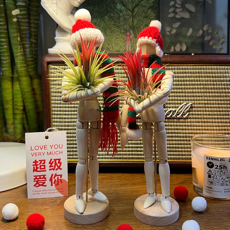 无土植物空气凤梨圣诞治愈礼物