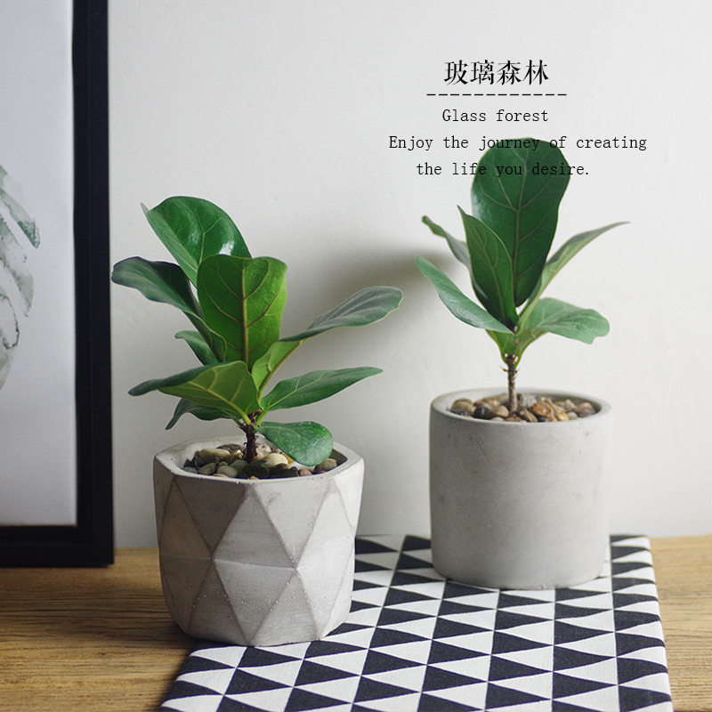 Ficus lyrata Potted plant Botany Green plant Four seasons In addition to formaldehyde Rubber tree Office Potted plant Radiation protection indoor Decorationin the Flower delivery/Flowers simulation/Plants gardening , Flowers/Potted plants (New) , Plants  category - from Buy2taobao.com to provide professional Taobao agent buy service