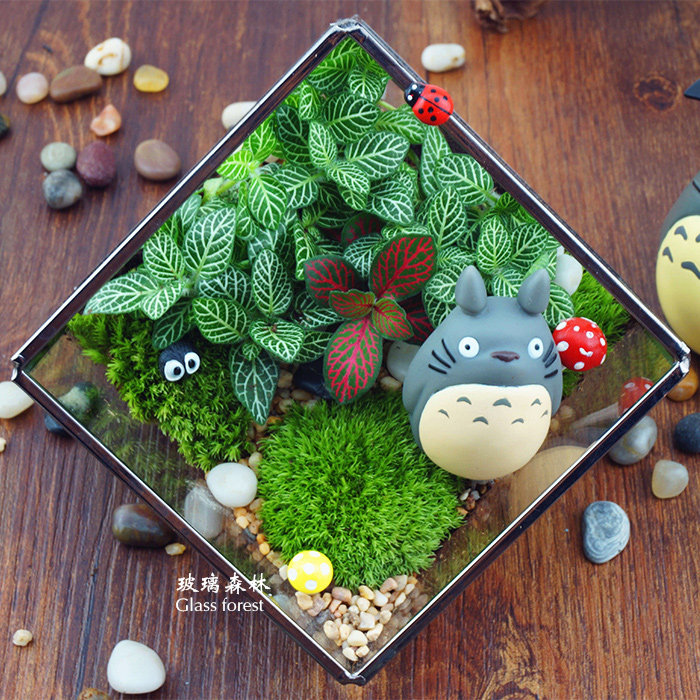 Scenery Bryophytes Eco-Bottle Glass Flowers originality Mini Potted plant Green plant Decoration A birthday present girl studentin the Flower delivery/Flowers simulation/Plants gardening , Creative mini-plant  category - from Buy2taobao.com to provide professional Taobao agent buy service