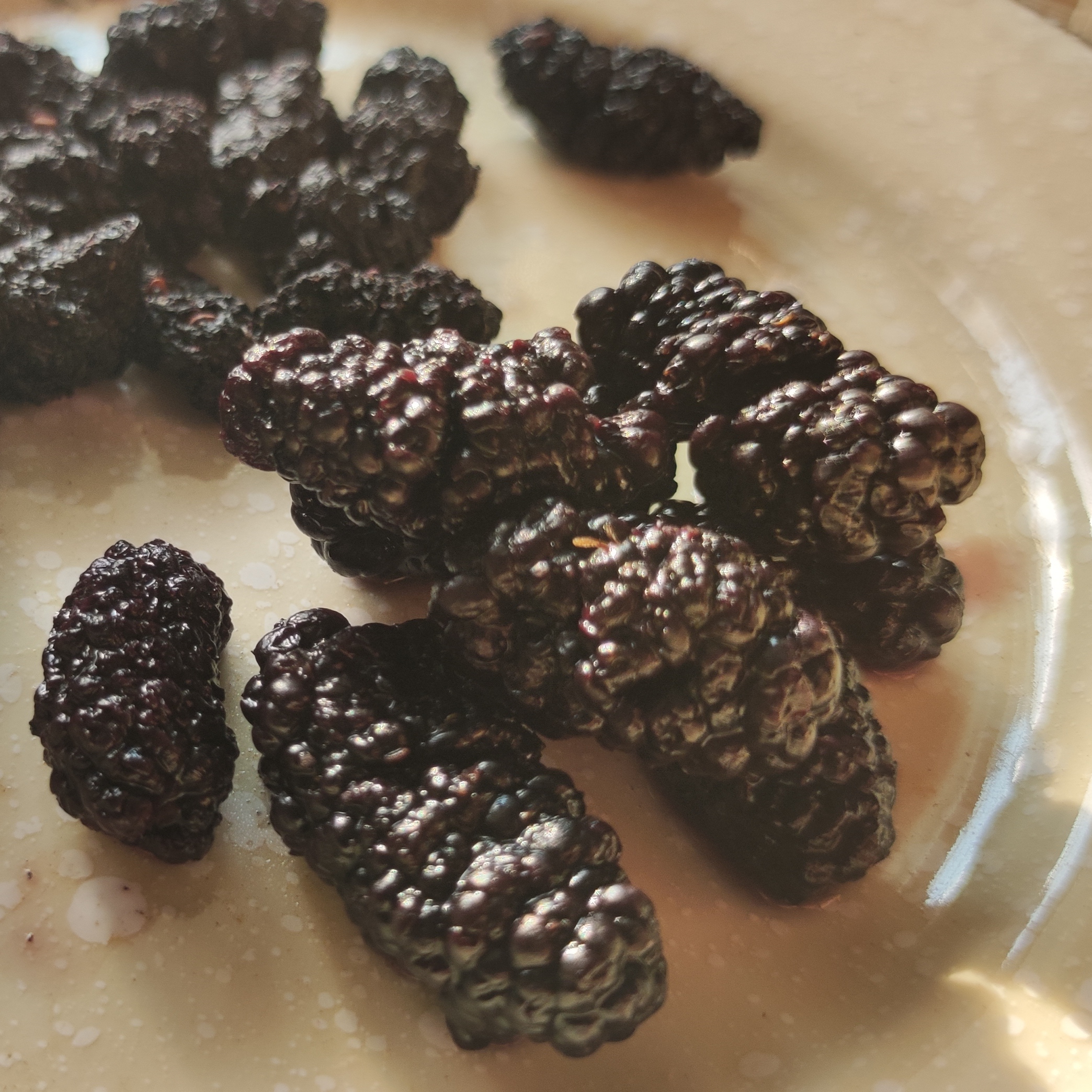 桑葚干250g黑桑椹优选泡茶泡水喝即食新货桑甚干黑桑葚干茶子