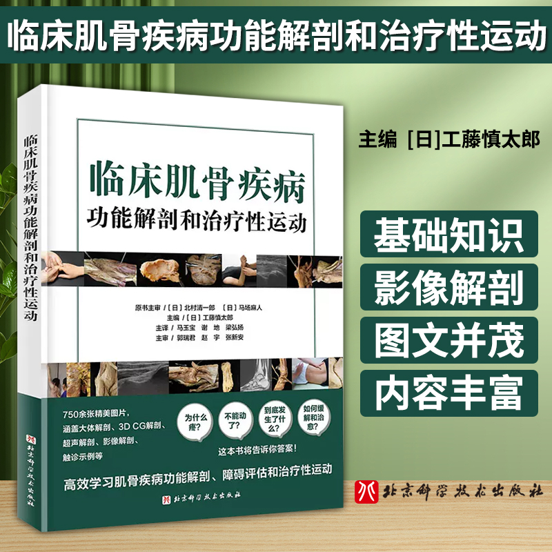 临床肌骨疾病功能解剖和治疗性运动  工藤慎太郎 主编 肌骨功能障