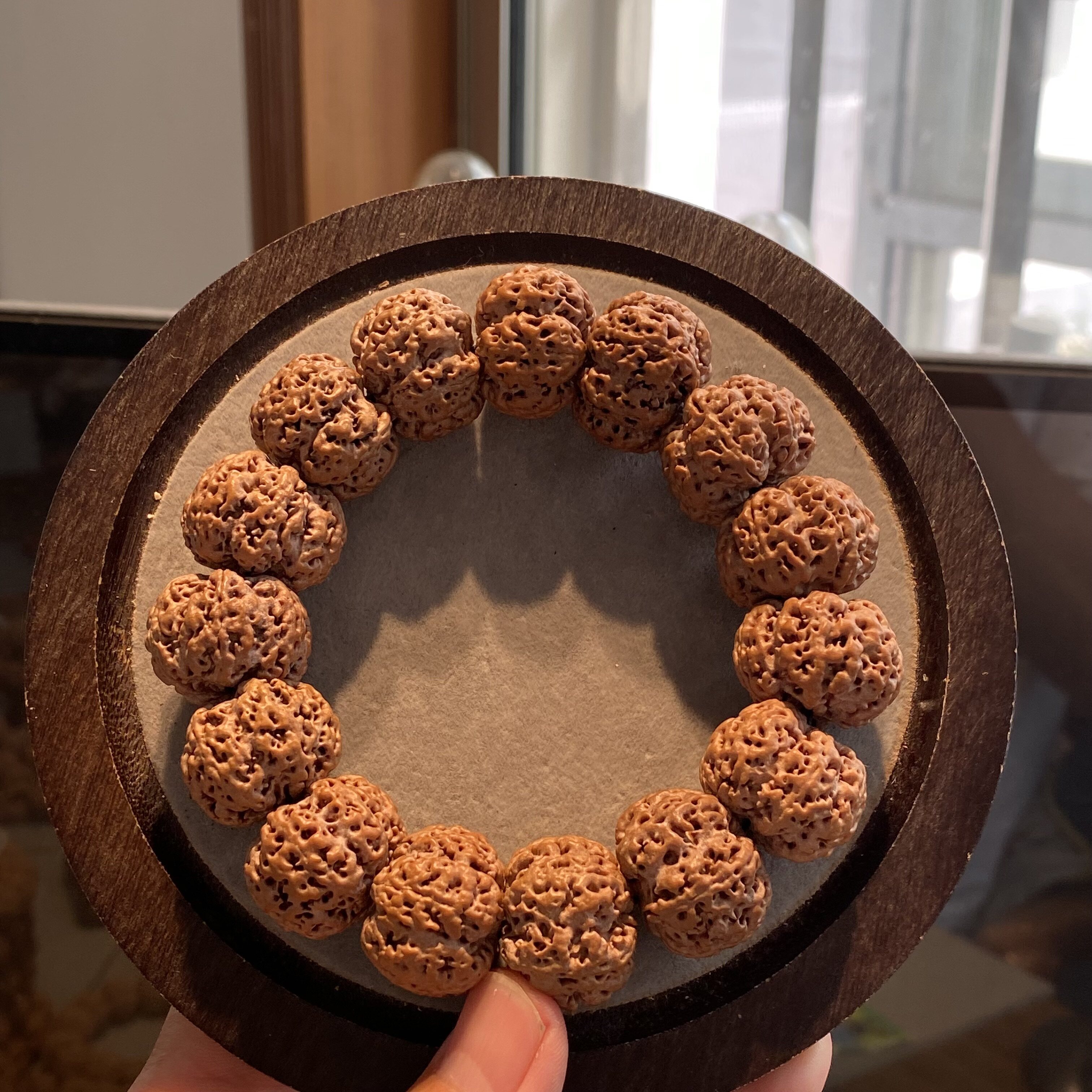 七只喜鹊天然雪花扇面六瓣帝王花