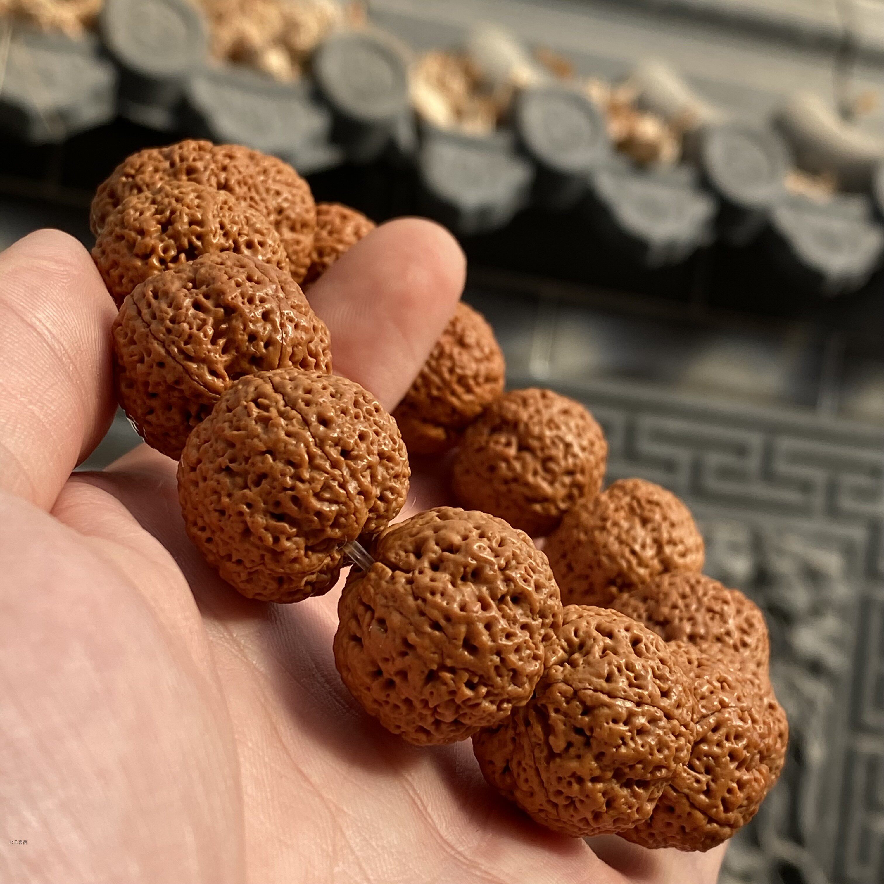 七只喜鹊龙蛭菠萝蜜五星蜂王