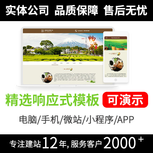 深圳专业网站模板开发 技术领先稳定可靠网页模板R369