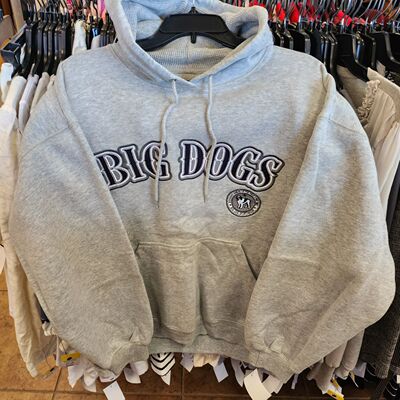 连帽卫衣男女情侣装ins风