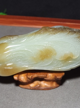 L030901 新疆的猫174.1克质感油润的且末糖白玉白菜把件和田玉