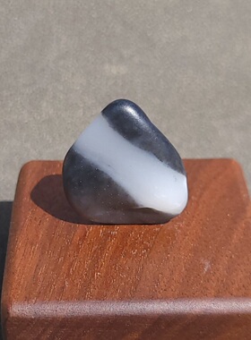 C032701新疆的猫7.2克黑白分明界限清晰利索的青花玩籽