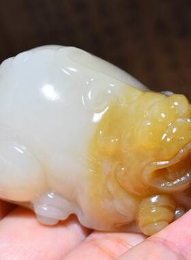 JJ010703新疆的猫98.7克润油脂肉细色浓艳俄料糖玉貔貅把件和田玉