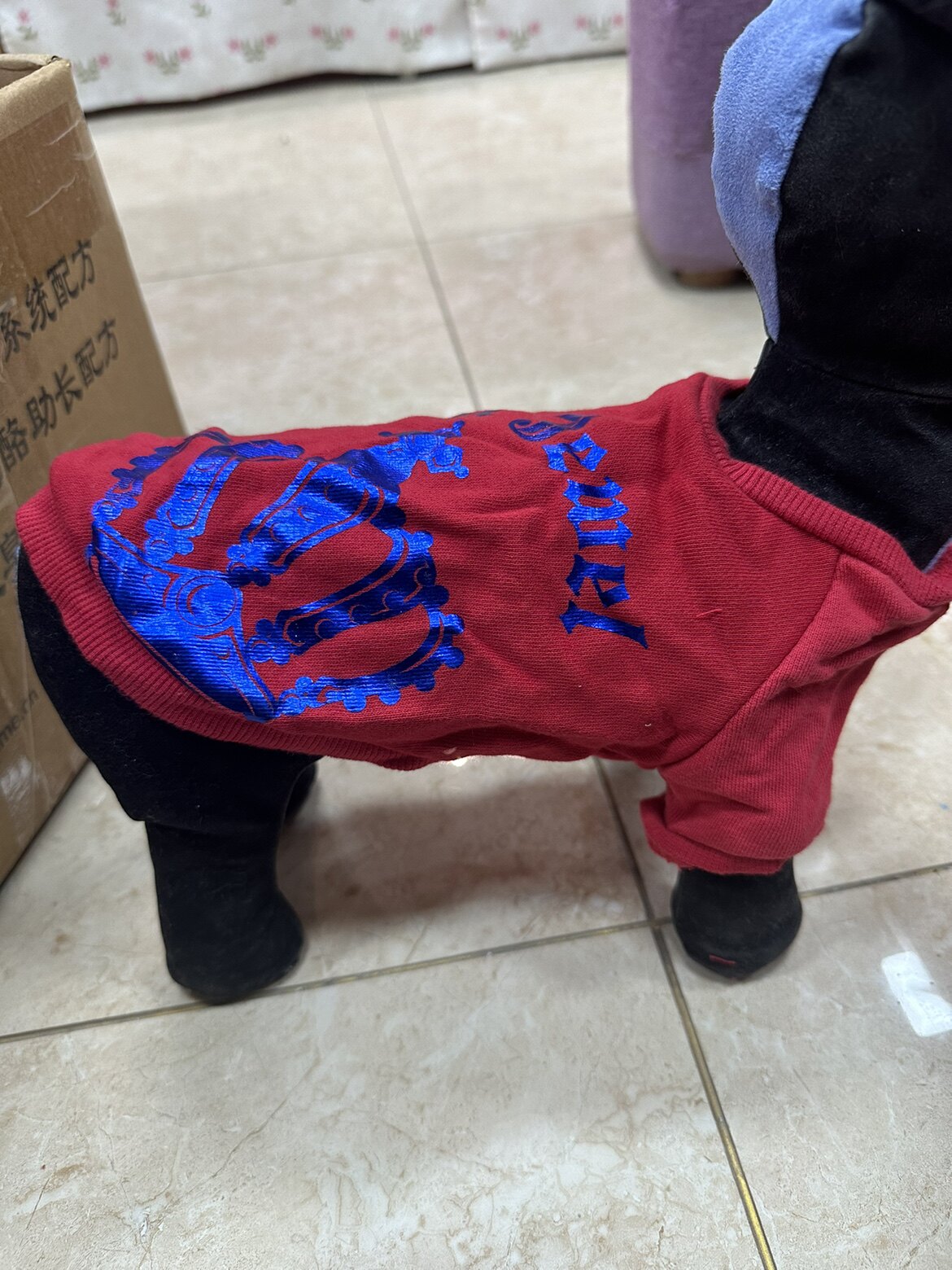 外单宠物衣服狗背心狗狗T恤红色皇冠纯棉背心小型犬衣服泰迪比熊