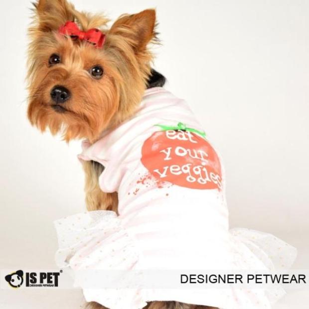 ISPET艾斯彼特 清仓 狗狗衣服 春夏条纹蕾丝背心裙 TS0024 宠物裙