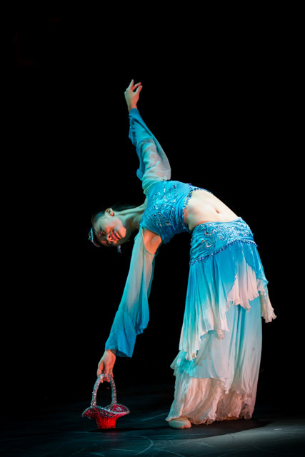 高端定制罗敷行舞蹈服汉唐古典舞陌上桑女子独舞桃李杯大赛舞蹈服