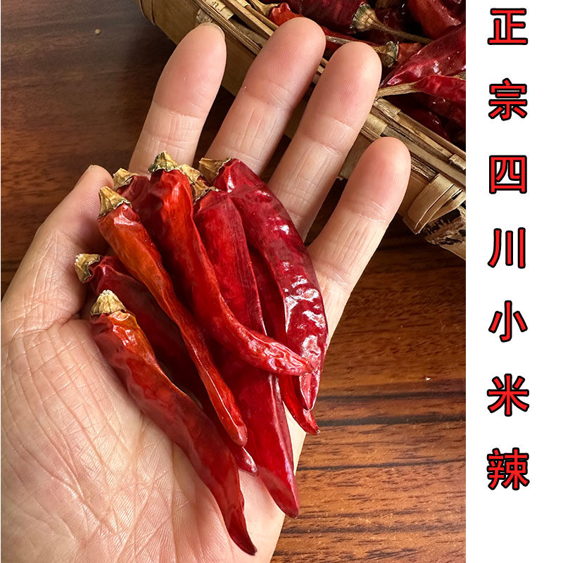 朝天椒特辣特香正宗四川干辣椒小米辣500g干货2026新货七星椒包邮