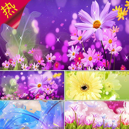 唯美花朵歌舞晚会背景 小花小草 喜庆花草 婚礼婚庆 视频素材