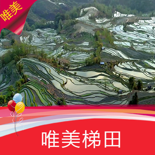 唯美梯田 高清 实拍 云南风光 高清 LED 视频素材