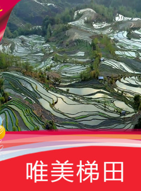 唯美梯田 高清 实拍 云南风光 高清 LED 视频素材