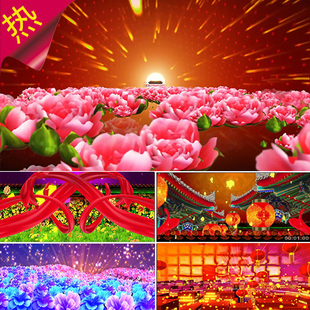 盛世鸿资 配乐成品 喜庆花海牡丹灯笼红绸新年 节日欢歌 视频素材