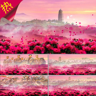 南泥湾 配乐成品 陕北民歌 歌唱舞蹈 映山红杜鹃花山花 视频素材