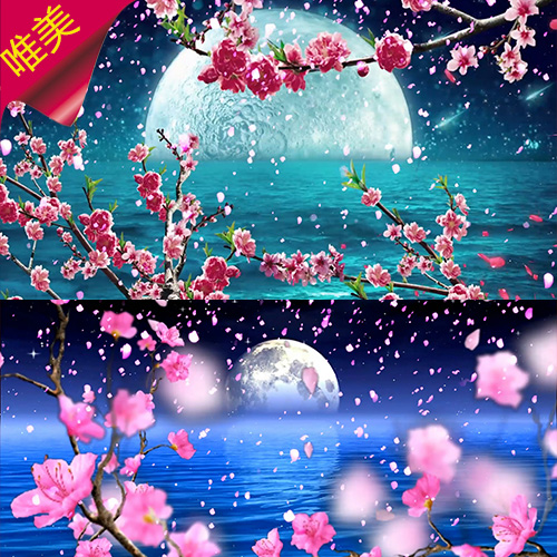凉凉 配乐 杨宗纬 张碧晨 三生三世十里桃花 月亮 大海 视频素材