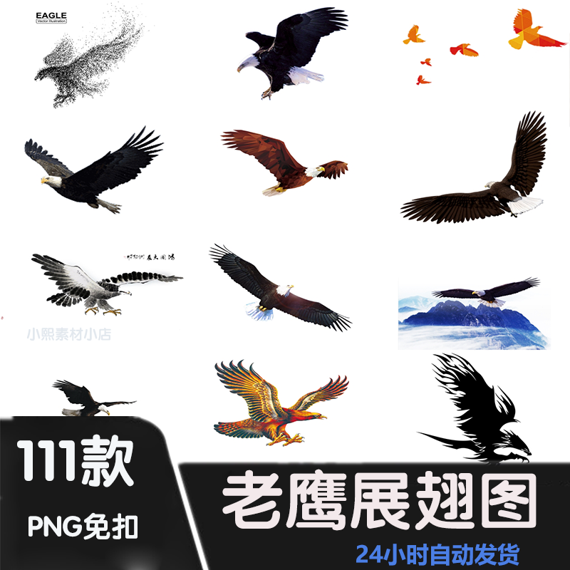 p230卡通老鹰猎鹰雄鹰展翅飞翔png免扣设计素材动物老鹰图片图案