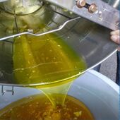 纯五倍子蜜结晶蜂蜜天然封盖农家自产成熟蜜生蜜纯正五味子蜂蜜