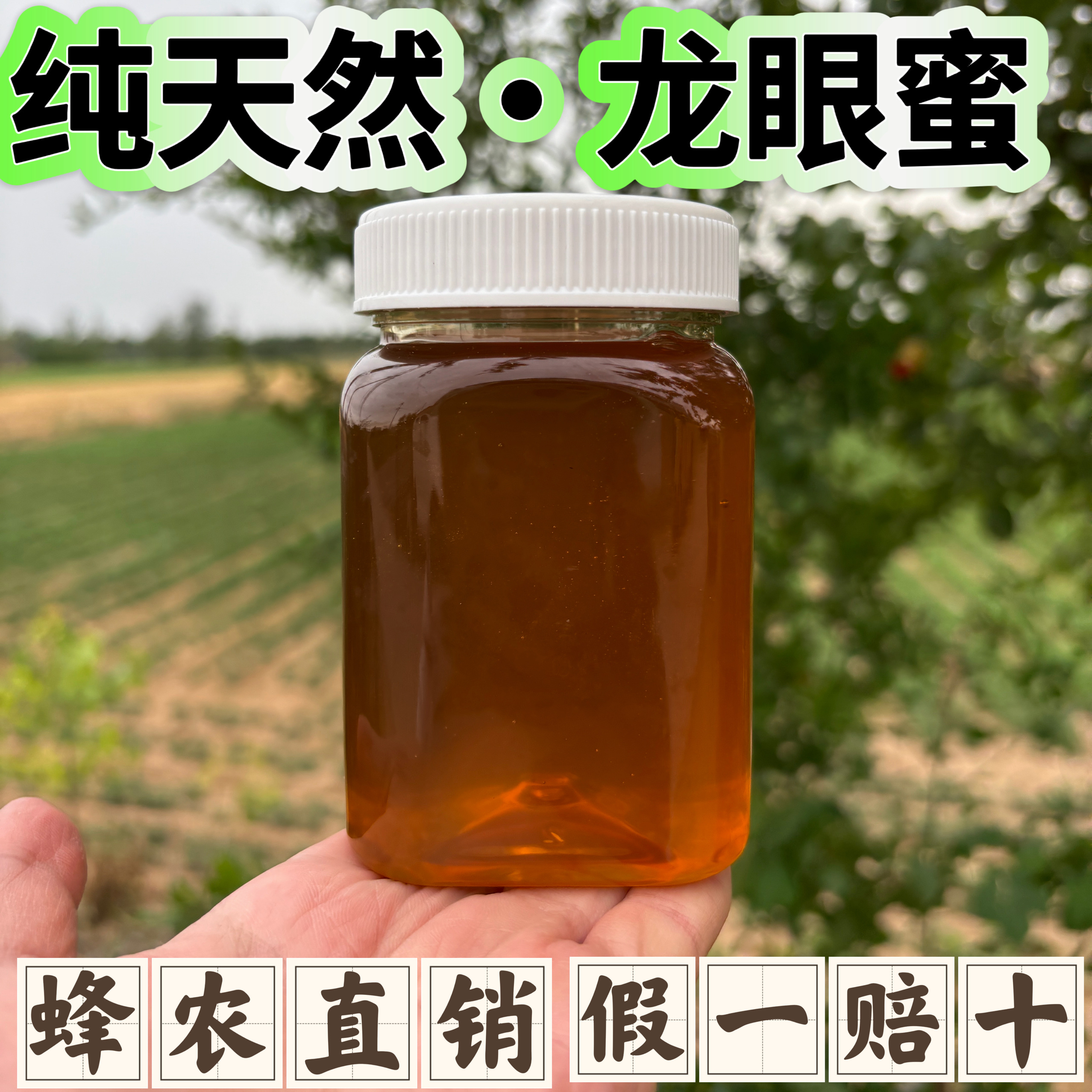 龙眼蜜纯正荔枝蜜天然农家自产桂圆蜂蜜无添加孕妇儿童老人滋补