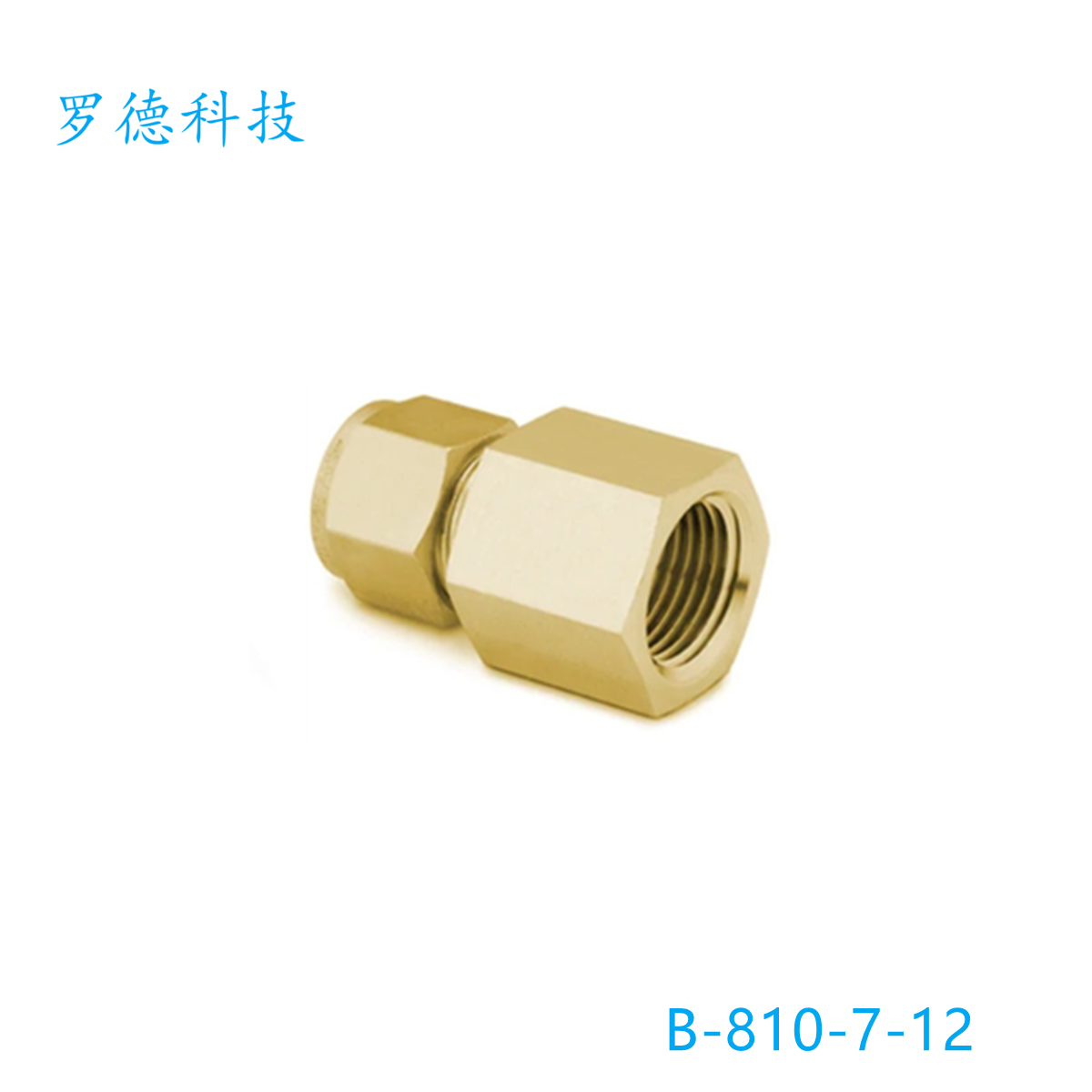世伟洛克黄铜管接头其他
