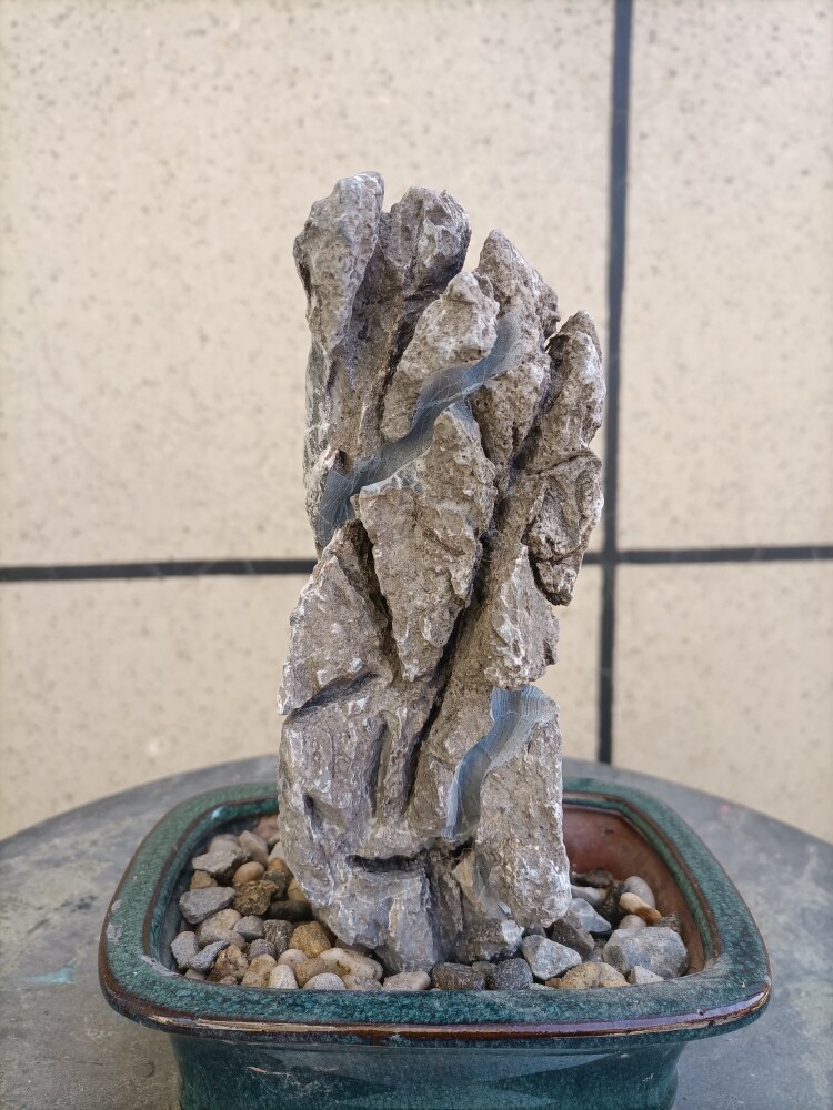 附石开槽附树石英德石青龙石头盆景