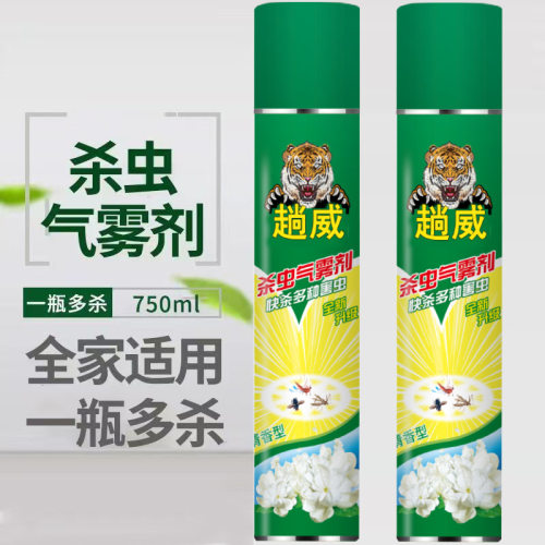 750ml杀虫气雾剂家用灭蚊子