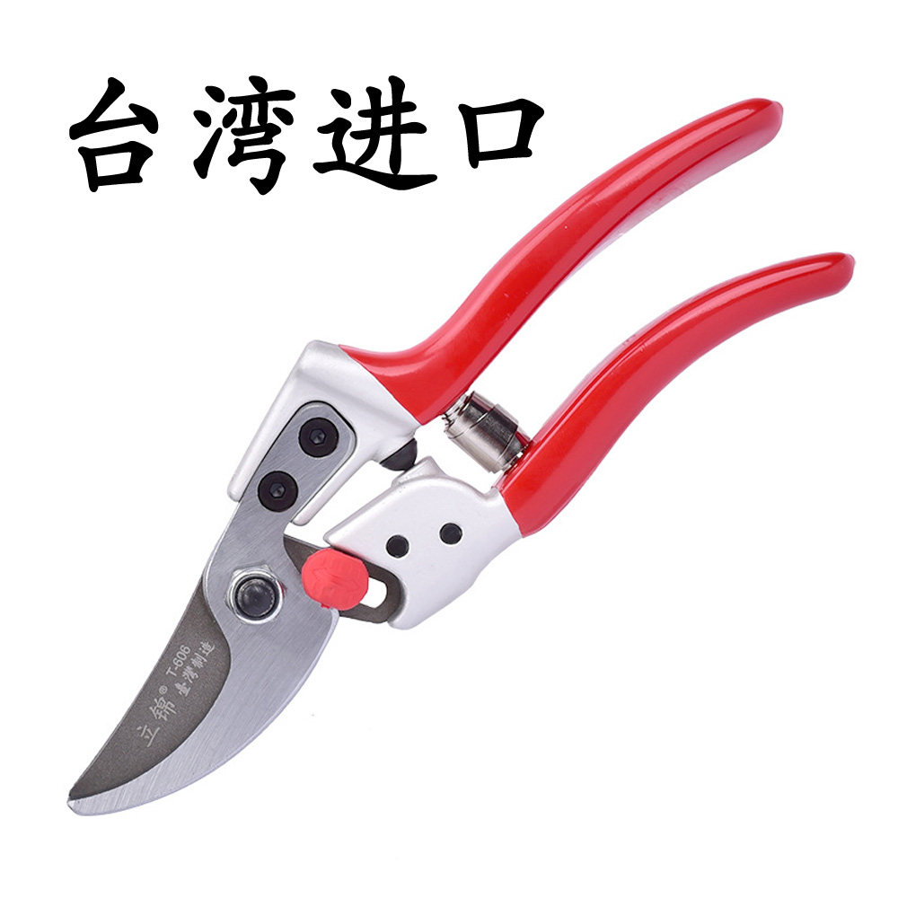 台湾进口园林枝剪刀果树苗修枝剪省力园艺剪摘果剪花艺剪弹簧T606图片
