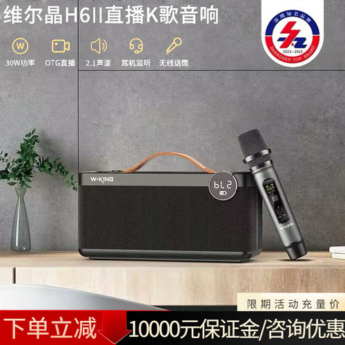 维尔晶户外手提便携手提K歌音响