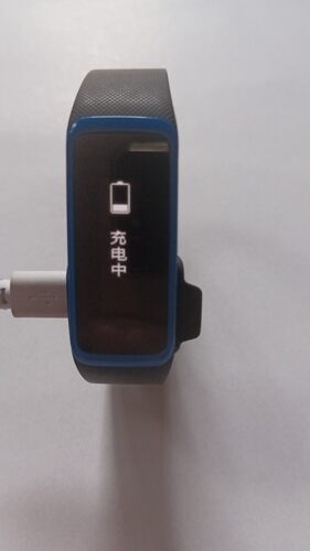 weloop唯乐非原装腕带USB充电器