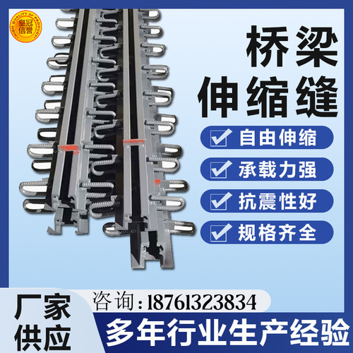 桥梁伸缩缝D型F型c型型钢变形毛勒伸缩缝梳齿板模数式伸缩缝盖板