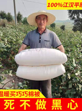 全新款棉被子新疆棉花被子被套被芯纯手工制作春夏秋冬床垫盖被