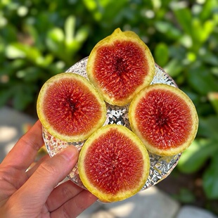 现货花香密无花果波姬红青红皮新鲜水果芭劳奈天然糖包子顺丰超甜