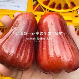 泰国黑金刚莲雾果3斤当季孕妇新鲜一级水果现摘顺丰包邮黑糖芭比