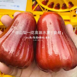 泰國黑金剛蓮霧果3斤當季 黑糖芭比 包郵 孕婦新鮮一級水果現(xiàn)摘順豐