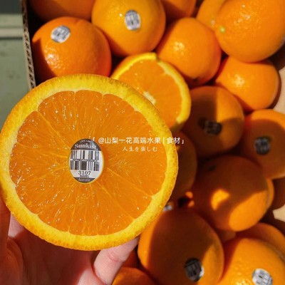 新士奇黑标3107橙大果sunkits脐橙甜橙子新鲜当季水果美国顺丰甜