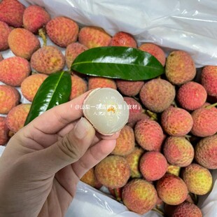 海南桂花香荔枝新鲜3斤当季水果顺丰当季新鲜超甜不酸顺丰包邮