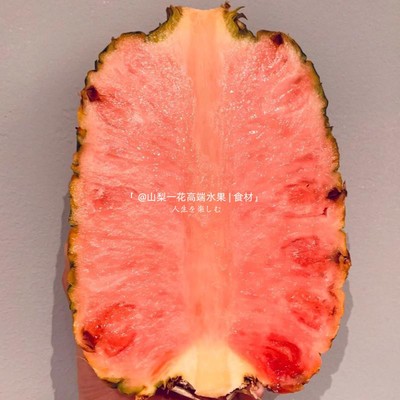 哥斯达加黎菠萝粉色凤梨