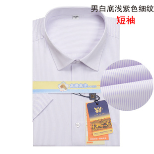 银行正装 白底紫色条纹职业衬衫 衬衫 方领工装 男士 条纹衬衣大码 短袖