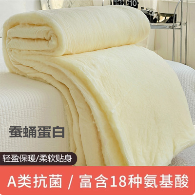 李官奇正品大豆被填充棉大豆纤维棉衣棉裤填充物丝棉褥子填充原料