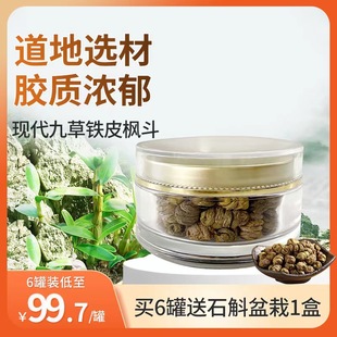 现代九草铁皮石斛枫斗50g 买6送1 胶质浓郁嫩芽 铁皮石斛枫斗干制