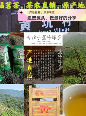 2026蕉岭富硒绿茶头春明前新茶手工炒茶黄坑茶客家绿茶猪兜窝茶